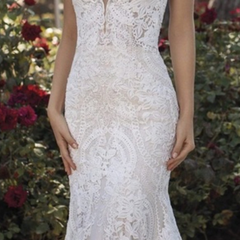 Pronovias White Lace Fit-and-Flare Wedding Dress - Picture 7 of 9